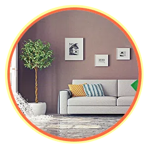 Expert Miami Restoration, Miami, FL 786-314-7307 Expert Miami Restoration, Miami, FL 786-314-7307